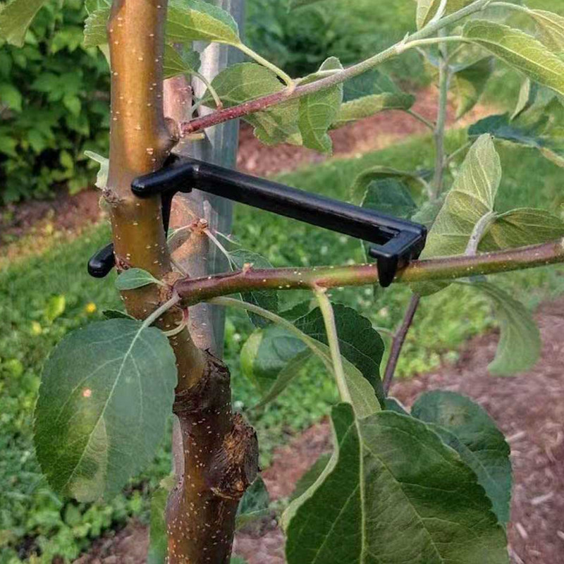 Extracteur de branches d'arbre - Fruit Roll Up avis et prix